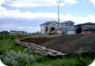 Environmental Rock Wall